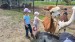 IMG-20260521-WA0043