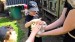 IMG-20260521-WA0078