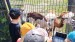 IMG-20260521-WA0092