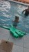 IMG-20260526-WA0028