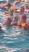 IMG-20260526-WA0055