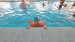IMG-20260527-WA0025