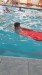 IMG-20260527-WA0036