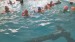IMG-20260527-WA0040