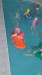 IMG-20260528-WA0026
