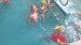 IMG-20260528-WA0032