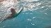 IMG-20260528-WA0049